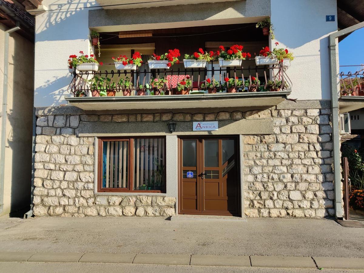 Apartman Ankica Golubac Extérieur photo